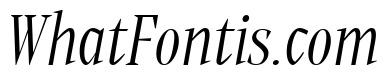 PF Expo Light Italic