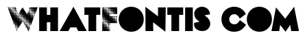 DOTZ PERSONAL USE Bold