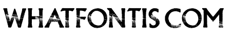 CONFORMITY PERSONAL USE Regular