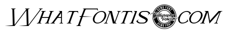 Early Goal Demo Italic