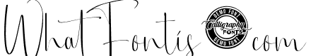 Brittany Rays Demo Script