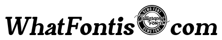 Trackwalker Demo Italic