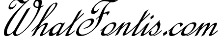 Calligraphy Script