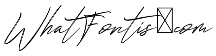 Jillfester Demo Brush