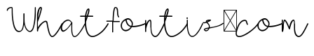 AMORICA SCRIPT DEMO