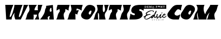 Flexible Times Demo Italic