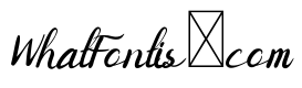 SHAIMAA DEMO Script