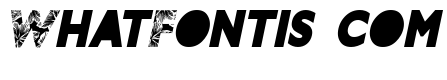 HIBISCUS ITALIC PERSONAL USE Bold Italic