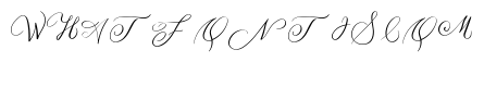 MONOGRAM B