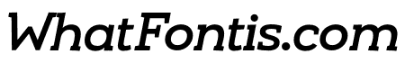 Umba Slab Demo Alt Medium Italic