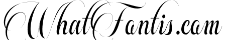 Beautiful Roses Script