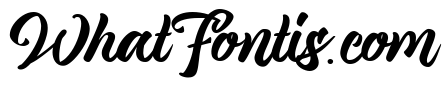 Magnison Script Free Demo Reg