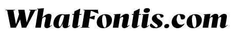 BovinoTrial-BlackItalic