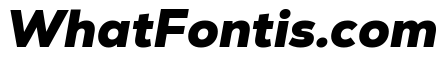 Nexa-Trial Black Italic