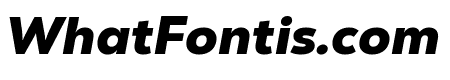 Nexa Text-Trial Black Italic