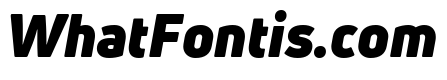 Uni Neue-Trial Black Italic