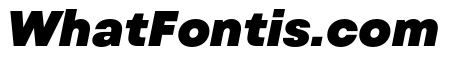 Mont Blanc-Trial Black Italic