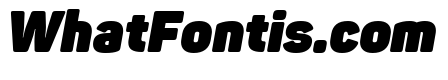 Panton-Trial Heavy Italic