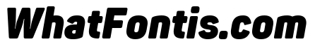 Panton Narrow-Trial Heavy Italic