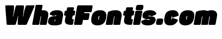 Panton-Trial Fat Italic