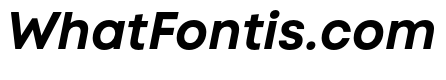 Code Next-Trial Bold Italic