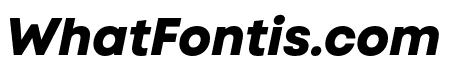 Code Next-Trial ExtraBold Italic