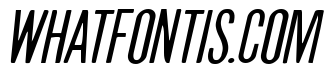 Slasher Film Expanded Italic