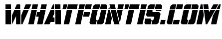 Free Shipping Laser Italic