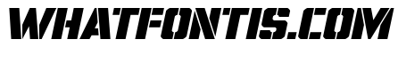 Free Shipping Expanded Italic