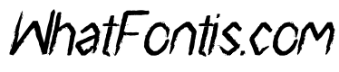 Surf Breaks Italic