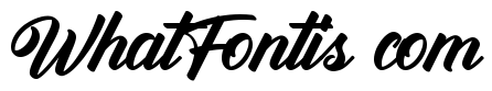 Antonellie Calligraphy Demo