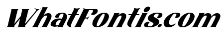 Amore Kiena Italic