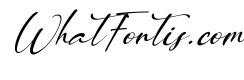 Orange Signature Italic