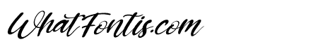 Kiss Boom Italic