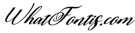 Rubeckia Italic
