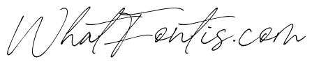 Carneys Gallery Script Demo Ver