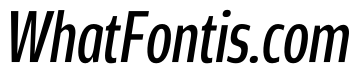 Rivera PERSONAL USE ONLY Regular Italic