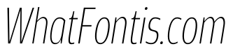 Rivera PERSONAL USE ONLY Thin Italic