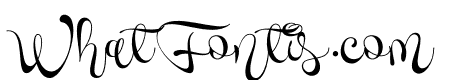 Novety Script PERSONAL USE ONLY Regular