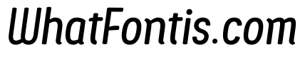 Ledare Medium Italic PERSONAL USE ONLY