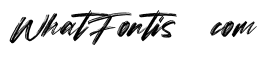Torches Free Regular