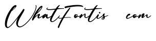Constatic Free Regular