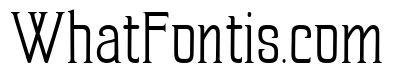 Sand Forest Demo Regular