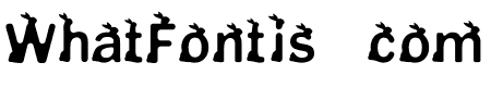 Rabbit Font