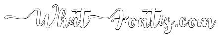Chinthiya Outline Regular