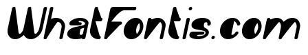 Fashion Style Bold Italic