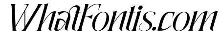 QuaffingTogether-Italic