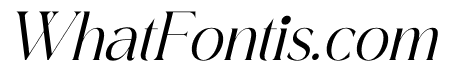 Cangste Italic