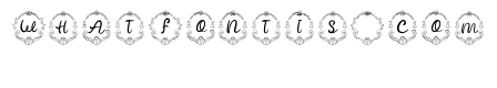 Starsea Monogram Regular