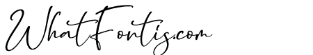 Belloty Signatone Italic
